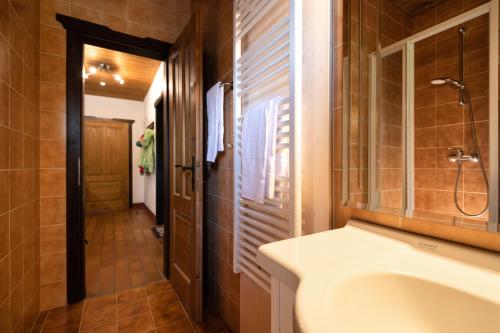 ヘルマゴルにあるApartment HERZALE - Nassfeldのバスルーム(洗面台、鏡付)