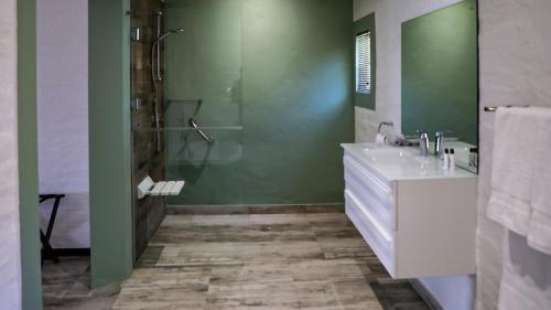 a green bathroom with a sink and a shower at Rooiberg Wild Private Game Reserve in Ladismith
