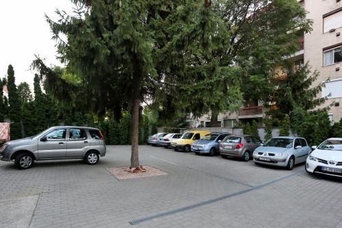 a group of cars parked next to a tree on a street at Família Vendégház in Szeged