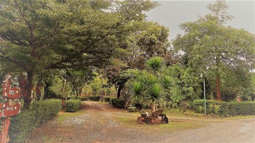 Taman di luar EiDI Homestay