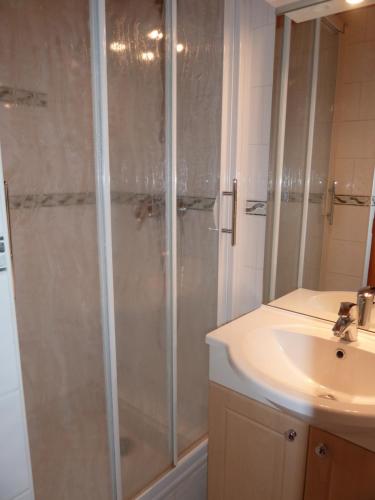 La salle de bains est pourvue d'une douche et d'un lavabo. dans l'établissement appartement myosotis pour 10 personnes, à Saint-Martin-de-Belleville