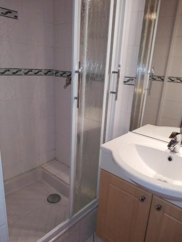 une salle de bain avec douche et lavabo dans l'établissement appartement myosotis pour 10 personnes, à Saint-Martin-de-Belleville