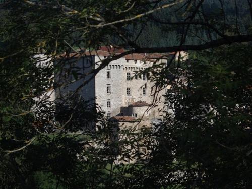 a large white building is seen through the trees at Château des Marcilly Talaru in Chalmazel
