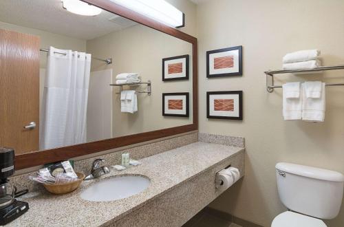 ein Badezimmer mit einem Waschbecken, einem WC und einem Spiegel in der Unterkunft Comfort Inn Barboursville near Huntington Mall area in Barboursville