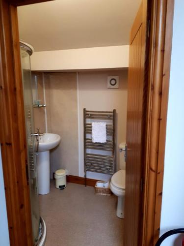 a bathroom with a toilet and a sink at Gwilym's Stable in Builth Wells