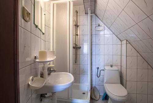 a bathroom with a sink and a toilet and a shower at Zajazd Czorsztyński in Maniowy