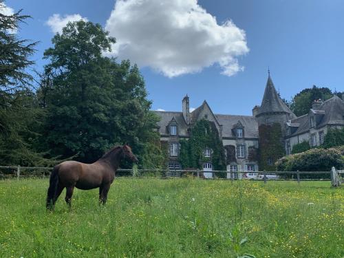 a horse standing in a field in front of a building at Manoir de Trégaray in Sixt-sur-Aff