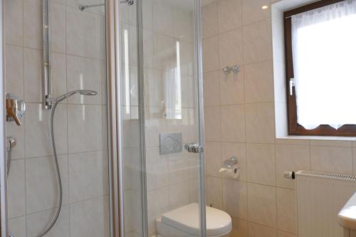 a bathroom with a glass shower with a toilet at Altstadt-Hotel Zum Hechten in Füssen