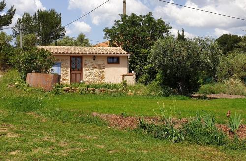 Foto cabanon studio 1