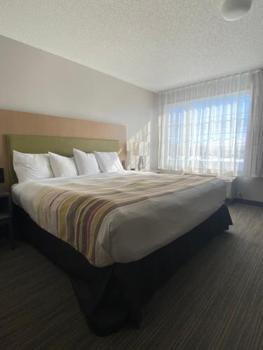 a large bed in a room with a large window at Country Inn & Suites by Radisson, Elk River, MN in Elk River