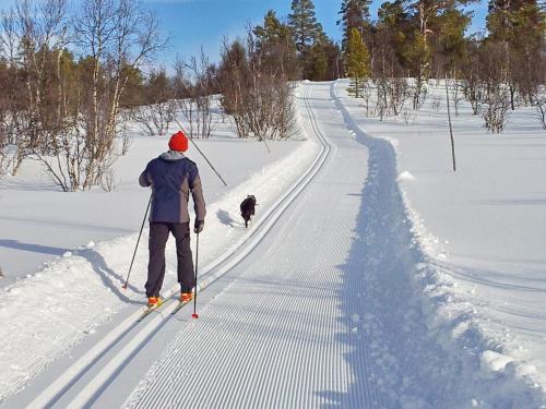 a person cross country skiing with a dog in the snow at Trolltun Hotel & Hytter in Dombås