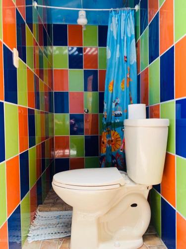 a bathroom with a toilet and a colorful tiled wall at Hostel Tortuguero 7BackPackers in Tortuguero