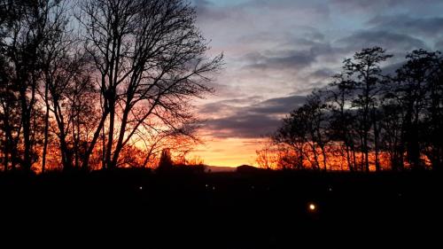 a sunset in a field with trees in the foreground at Gite près de Strasbourg Terre d'Helene 42 m2, 3 étoiles, 4-5 personnes in Berstett