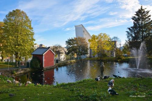 a person standing in front of a pond with ducks at Kristiansund Apartments in Kristiansund