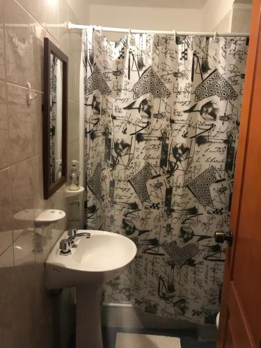 Un baño con lavabo y cortina de ducha. en Belgrano 10, en Salta