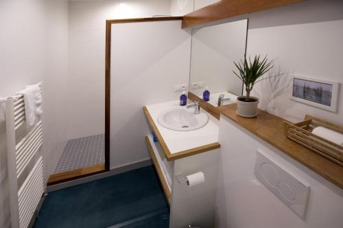 une salle de bain avec un lavabo et un miroir dans l'établissement Centre historique - Le Maubec, à Bordeaux