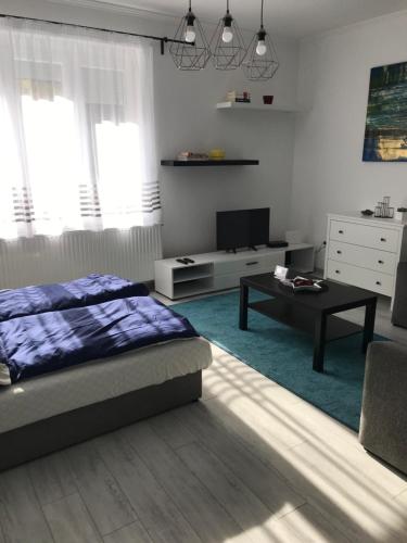 City Center Apartman Nagykanizsa 8800 Nagykanizsa, Ady Endre utca 14/D Magasföldszint 1. ajtó kép - 3