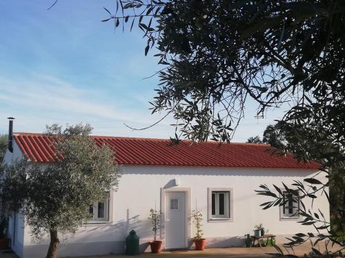 a white house with a red roof at Burrico D`Orada - Rural Stays & Wine Country Tours in Pedrógão