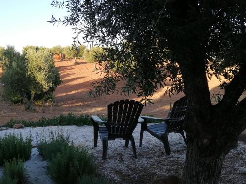 Foto Burrico D`Orada - Rural Stays & Wine Country Tours 6