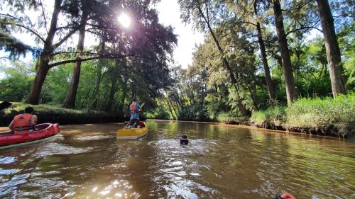 a group of people on kayaks on a river at Rio Manso Tigre in Tigre