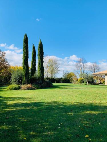 a field with three trees in a park at B&B Beauty House in Cesena