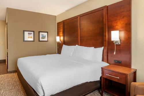 a bedroom with a large white bed and a wooden headboard at Comfort Inn & Suites in Winchester