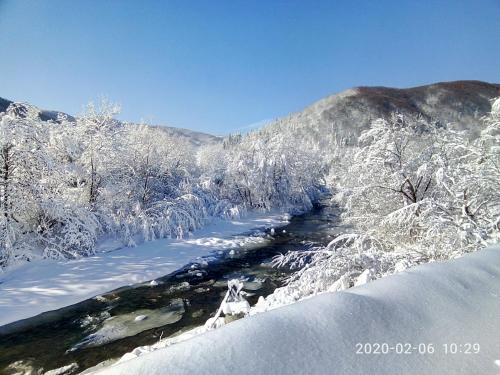 a river with snow covered trees and a mountain at Під горою in Sheshory