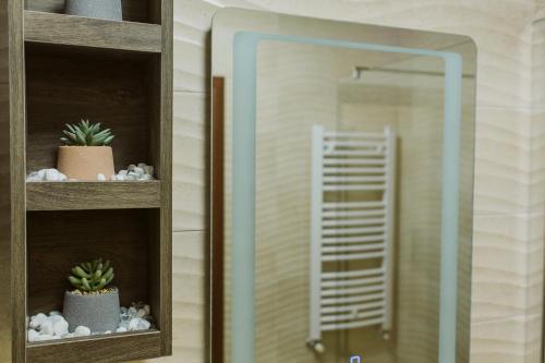 una estantería de cristal con cactus y un espejo en Vively Lux Apartment, en Subotica