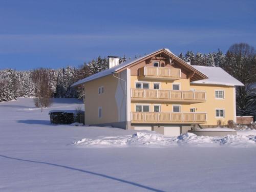 een groot huis in de sneeuw met sneeuw bedekt bij Spacious apartment in the Bavarian Forest in Viechtach