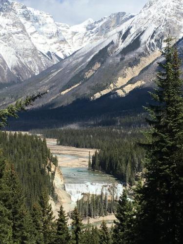 Yoho Chalets – Photos 3