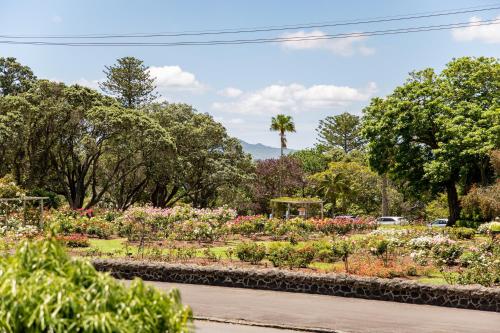 a garden with flowers in the middle of a road at Auckland Rose Park Hotel in Auckland