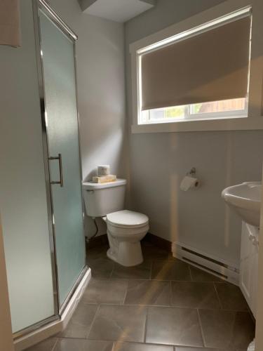 a bathroom with a toilet and a sink and a shower at Peaks Lodge in Revelstoke