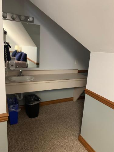 a bathroom with a sink and a mirror at Peaks Lodge in Revelstoke