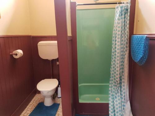 
a bathroom with a toilet and a shower stall at Pioneer Lodge Tasmania in Pioneer 
