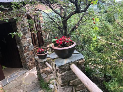 a stone wall with two potted plants on it at Casa Rural Pirineu Nevà in Nevà
