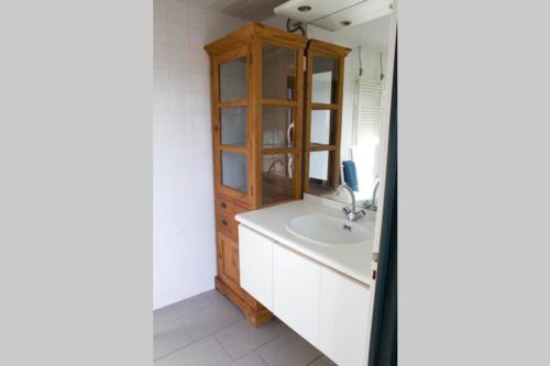 bagno con lavandino e mobile in legno di De Schaapskooi - Knus Veluws vakantiehuisje a Ede