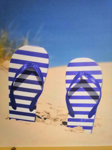 deux tongs à rayures bleues et blanches sur la plage dans l'établissement Blue Ocean Cocoon, à Fort-Mahon-Plage