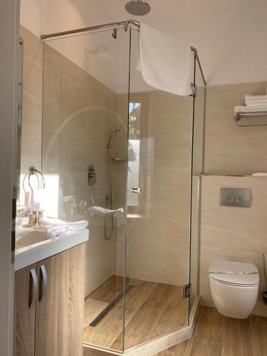a bathroom with a shower and a toilet and a sink at ApartamentS in Râşnov