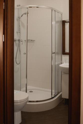 a bathroom with a shower with a toilet and a sink at Ekaterinoslav in Dnipro