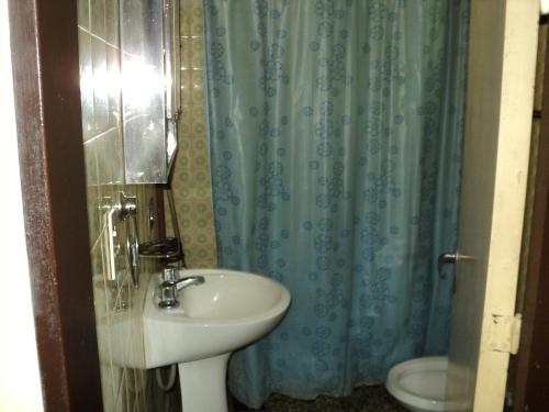 哥多華的住宿－Don Celso-2 Dormitorios，一间带水槽和淋浴帘的浴室