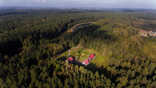 an aerial view of a house in the middle of a forest at Pokoje w lesie in Miłomłyn