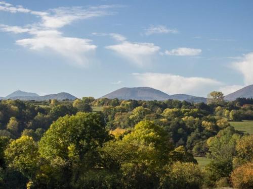 a view of a forest with mountains in the background at Rêves de Bois in Loubeyrat