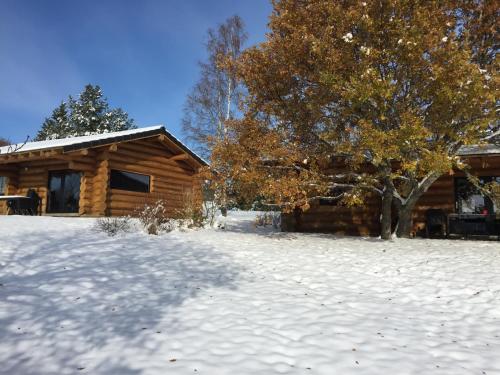 a log cabin in the snow next to a tree at Rêves de Bois in Loubeyrat
