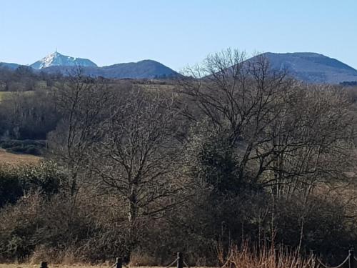 a tree in a field with mountains in the background at Rêves de Bois in Loubeyrat