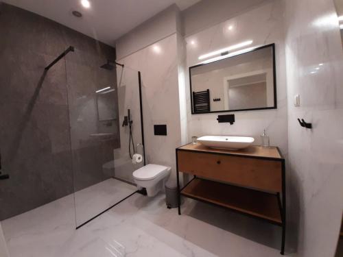 W łazience znajduje się umywalka, prysznic i toaleta. w obiekcie Apartamenty Centrum - Mickiewicza w Bielsku Białej