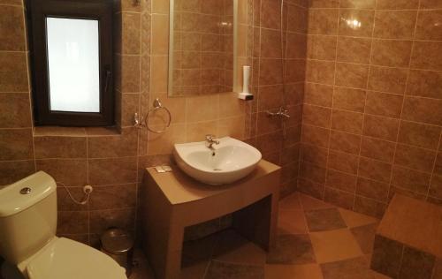 uma casa de banho com um lavatório, um WC e uma janela. em Apartments Black Horse em Pamporovo
