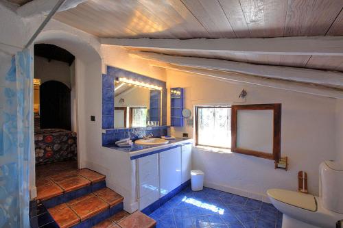 een badkamer met een wastafel en een toilet bij ViVaTenerife - Estate with idyllic mountain landscapes in Tejina de Isora