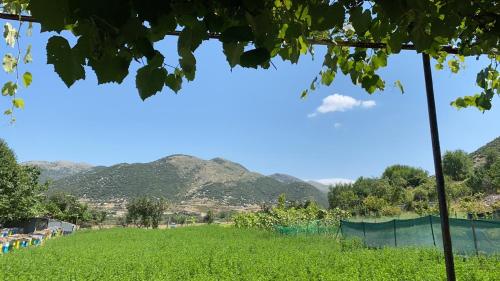 a green field with mountains in the background at Progon House in Tepelenë