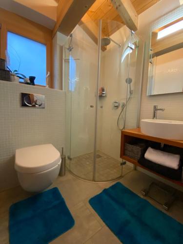 y baño con aseo, lavabo y ducha. en Chalet Conthey en Zermatt