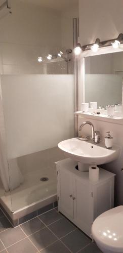 une salle de bain avec un lavabo, une douche et des toilettes dans l'établissement Les Rochers de Vallières, Appartement de 35 m2 avec 1 chambre, Terrasses, Jardin 140 m2, Vue panoramique face à l'Océan !, à Saint-Georges-de-Didonne